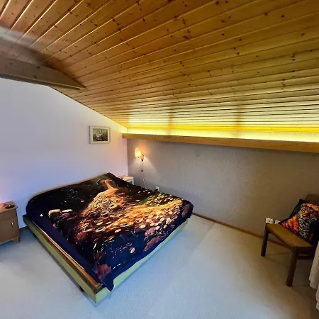 Large Vacation With Mountain Views Appartement