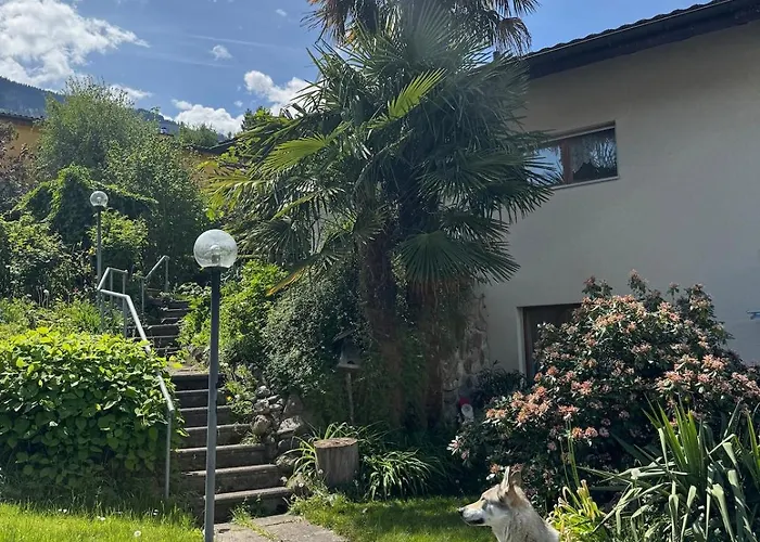 Apartamento Large Vacation With Mountain Views *