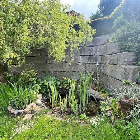 Large Vacation With Mountain Views *