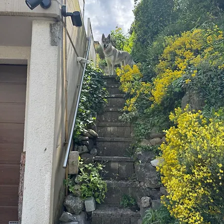 아파트 Large Vacation With Mountain Views Quarten