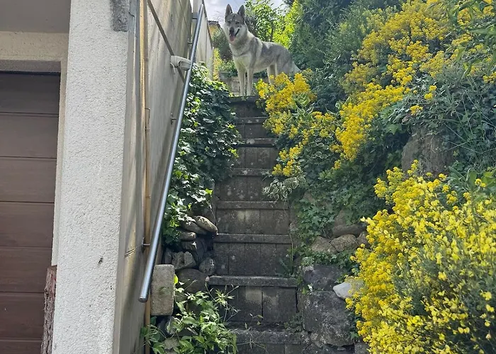 아파트 Large Vacation With Mountain Views Quarten